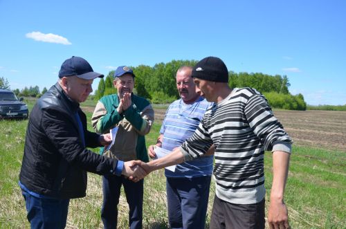 В районе наградили передовиков посева