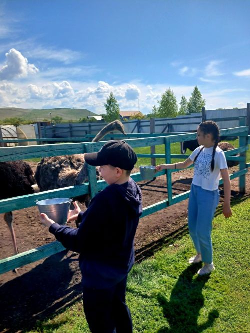 Школьники Джалильской СОШ 1 на страусиной ферме