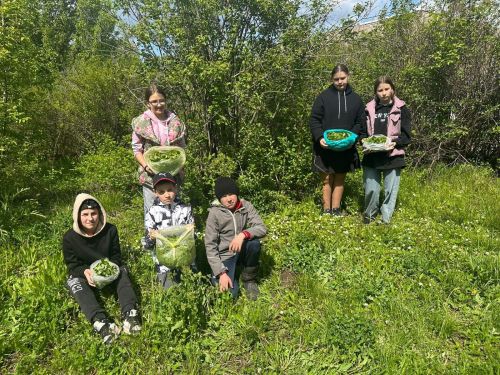 Лякинские ученики собрали листья для ароматного чая в поддержку бойцов