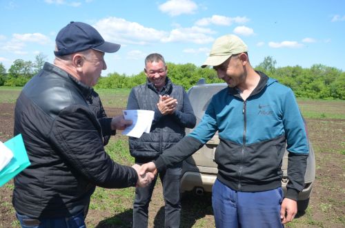 В районе наградили передовиков посева