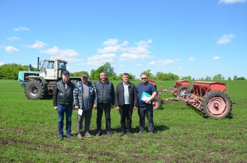 В районе наградили передовиков посева