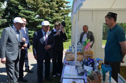 Сарманлыларның сокланырлык эшләре бар