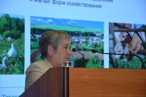 Сарманлыларның сокланырлык эшләре бар