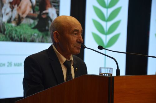 Сарманлыларның сокланырлык эшләре бар