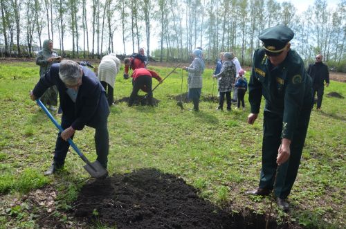 В Лешев-Тамакской школе посадили яблони в память о героях