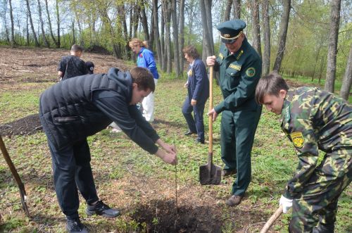 В Лешев-Тамакской школе посадили яблони в память о героях