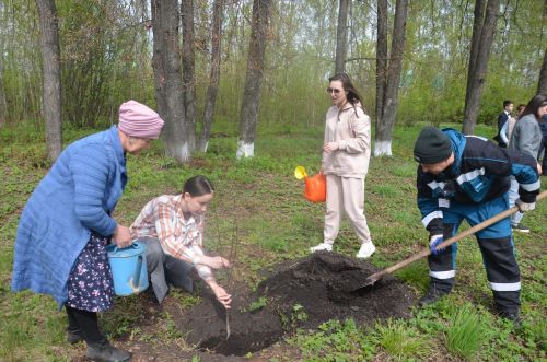 В Лешев-Тамакской школе посадили яблони в память о героях