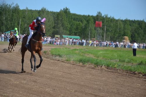 Район Сабан туенда атларга күз дә иярмәде