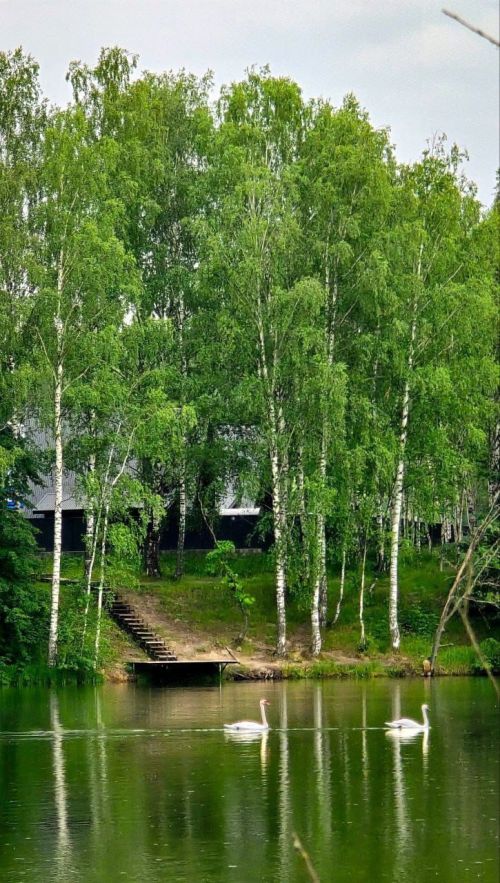 Прогноз погоды на 1 июля 2025 года