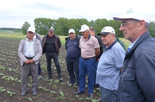 Посевы в районе получили высокую оценку