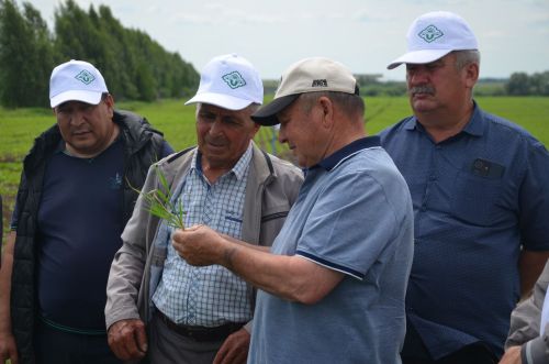 Посевы в районе получили высокую оценку
