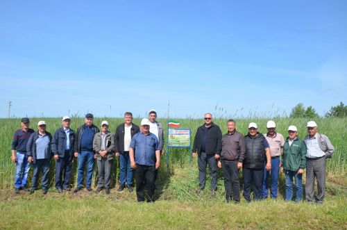 Посевы в районе получили высокую оценку