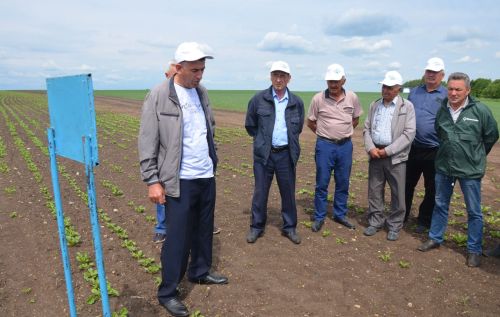 Посевы в районе получили высокую оценку