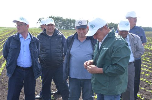 Посевы в районе получили высокую оценку