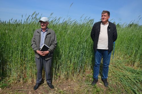Посевы в районе получили высокую оценку