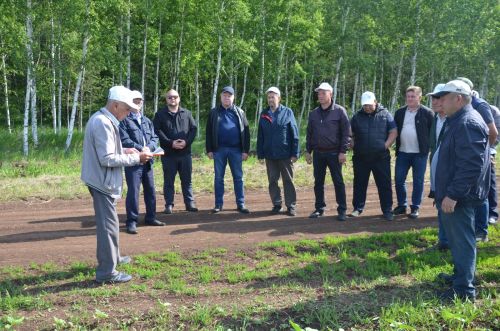 Посевы в районе получили высокую оценку