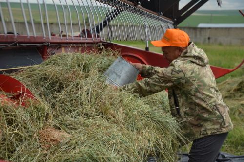 В районе состоялся «Парад комбайнов»