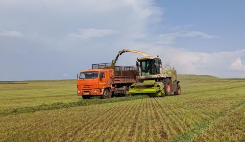 Район хуҗалыкларында терлек азыгы әзерләгәндә кыенлыклар белән очрашучылар да бар