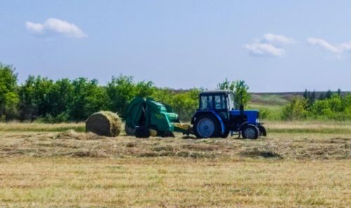 Район хуҗалыкларында терлек азыгы әзерләгәндә кыенлыклар белән очрашучылар да бар
