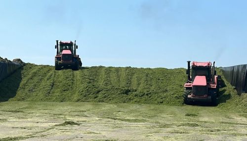 Район хуҗалыкларында терлек азыгы әзерләгәндә кыенлыклар белән очрашучылар да бар
