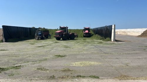 Район хуҗалыкларында терлек азыгы әзерләгәндә кыенлыклар белән очрашучылар да бар