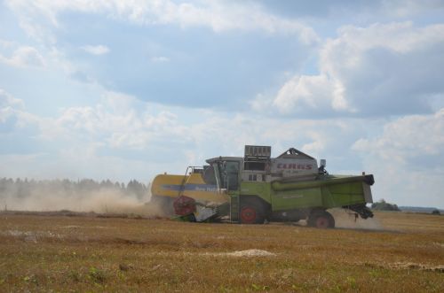 Район басуларында урып-җыю эшләре 75 процент мәйданда тәмамланган