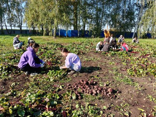 Ученики Сармановского района подвели итоги летних трудов