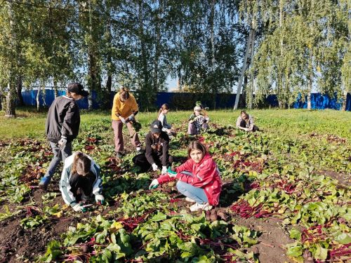 Ученики Сармановского района подвели итоги летних трудов