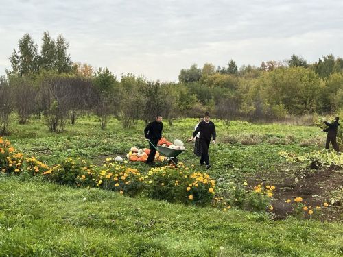 Ученики Сармановского района подвели итоги летних трудов