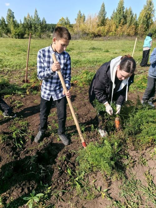 Ученики Сармановского района подвели итоги летних трудов