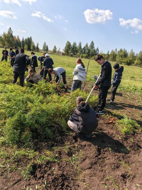 Ученики Сармановского района подвели итоги летних трудов