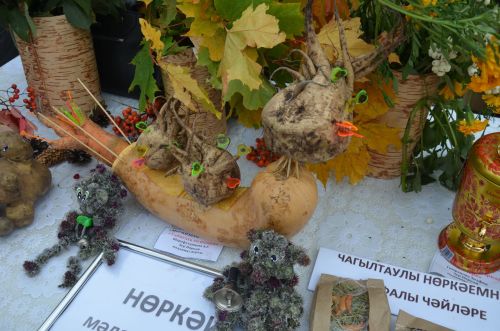 Сарманда табигать хәзинәләре ярминкәсе үтте