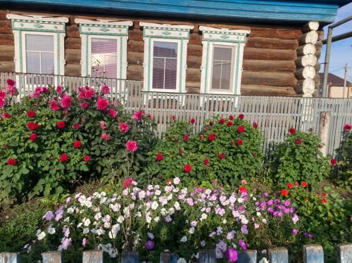Сармановский район ждет прохладный и ветреный день 30 сентября