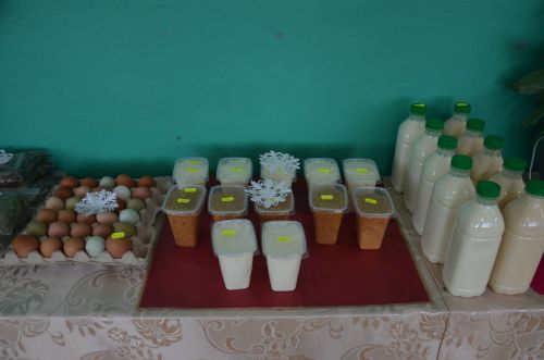 Чукмарлы халкы проблемаларны бергә хәл итә