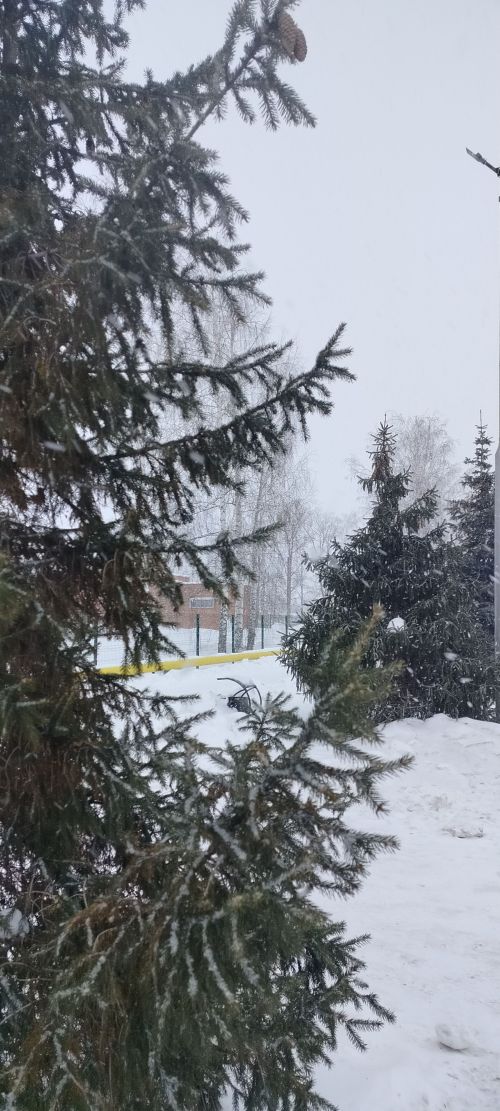 В Сармановском районе 29 января ожидаются метель, сильный снег и гололедица