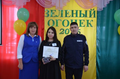 В районе подвели итоги муниципального этапа конкурса «Зеленый огонек»