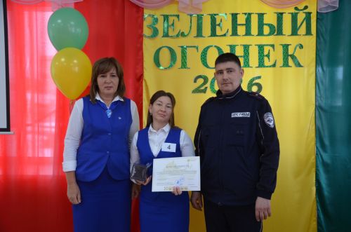 В районе подвели итоги муниципального этапа конкурса «Зеленый огонек»