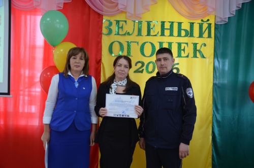 В районе подвели итоги муниципального этапа конкурса «Зеленый огонек»