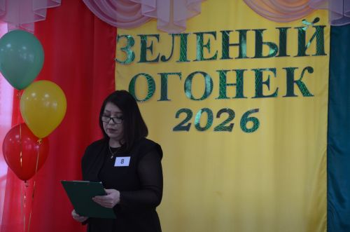 В районе подвели итоги муниципального этапа конкурса «Зеленый огонек»