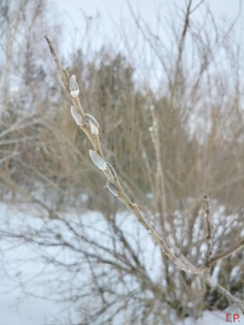 Татарстанда аномаль җылылык саклана һәм һава 12 градуска кадәр җылытачак