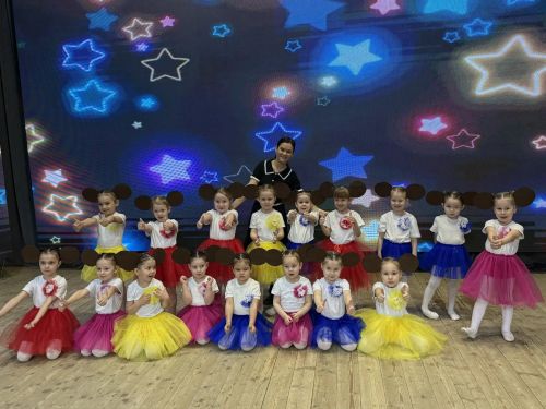 Районда сәләтле балаларны барладылар