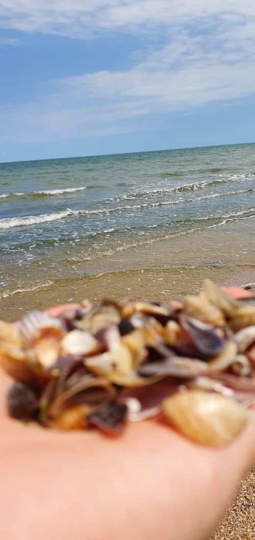 Район имам-хатыйбы Сәгыйть хәзрәт ял итәргә үз машинасы белән бара