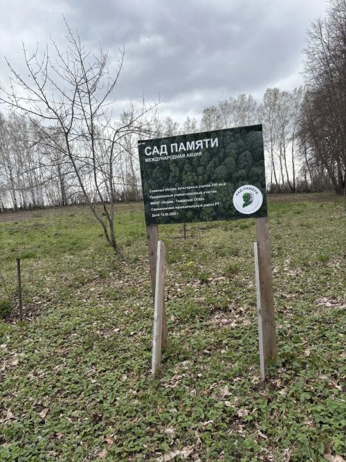 Ләшәү Тамакта яшь наратлар утырттылар