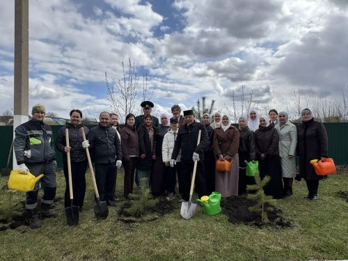 Ләшәү Тамакта яшь наратлар утырттылар