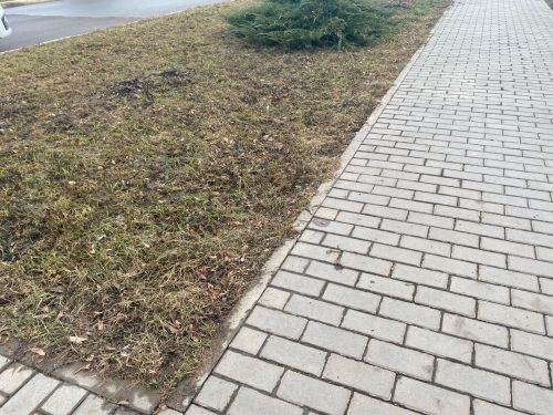 Сарман матбугат үзәге дә санитар икеайлыкны башлады