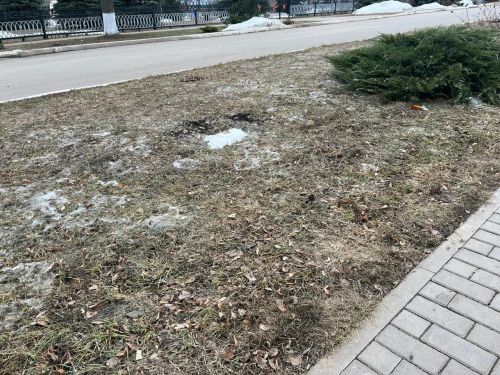 Сарман матбугат үзәге дә санитар икеайлыкны башлады