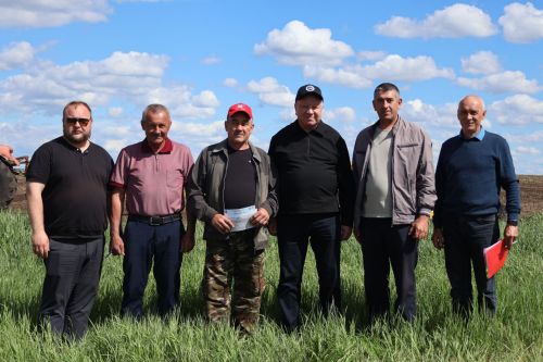 В районе выявили передовиков поля