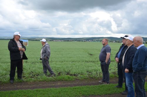В районе высоко оценили посевы