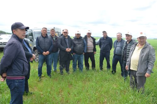 В районе высоко оценили посевы