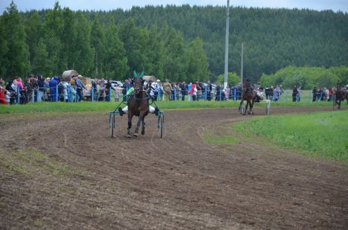 Атлар җилдән җитез чаптылар